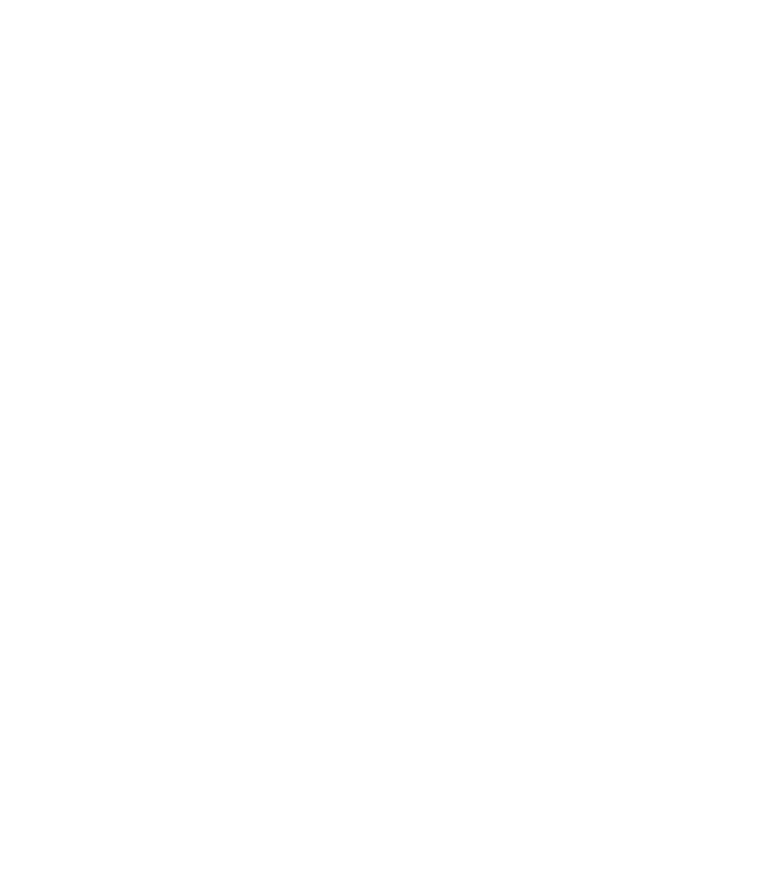 Social Media Management Interface